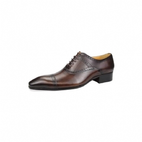 Pánska Spoločenská Obuv Deluxe Oxford Lavishnuptial Brogues