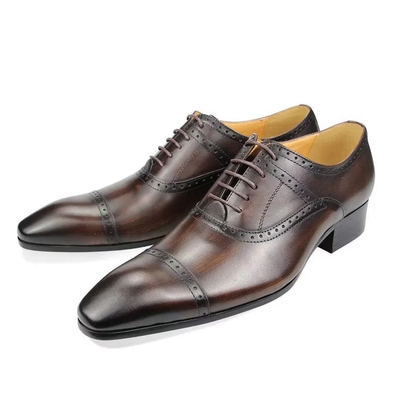 Pánska Spoločenská Obuv Deluxe Oxford Lavishnuptial Brogues - Káva