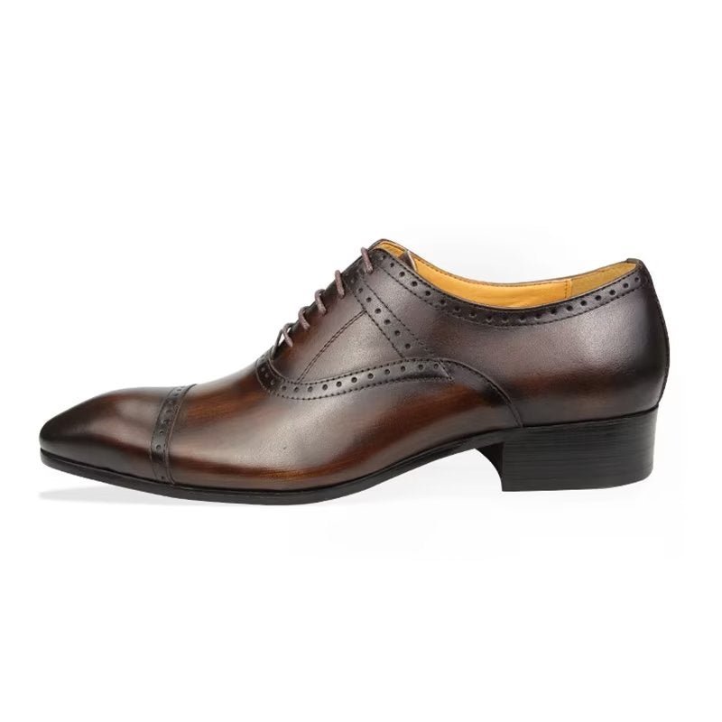 Pánska Spoločenská Obuv Deluxe Oxford Lavishnuptial Brogues - Káva