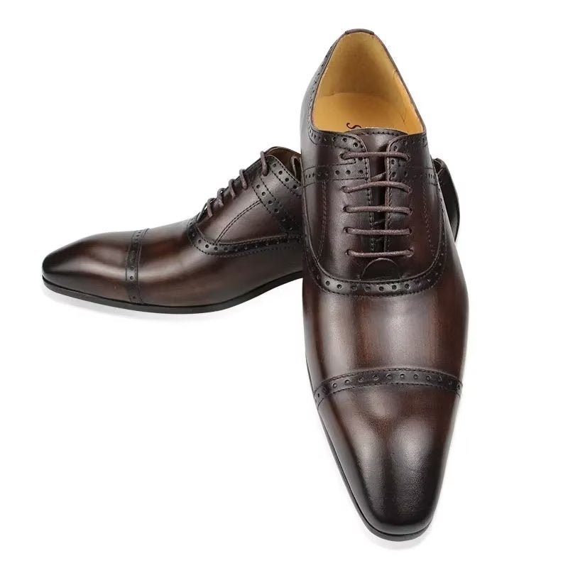 Pánska Spoločenská Obuv Deluxe Oxford Lavishnuptial Brogues - Káva