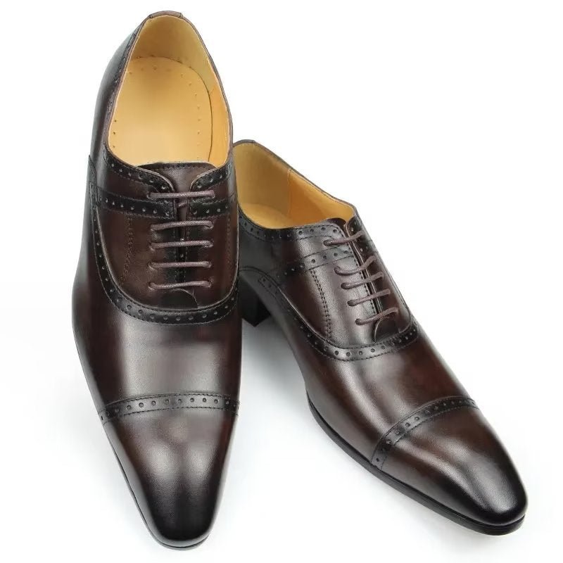 Pánska Spoločenská Obuv Deluxe Oxford Lavishnuptial Brogues - Káva