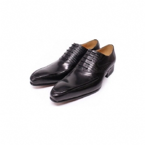 Pánska Spoločenská Obuv Exotic Pointed Toe Oxford