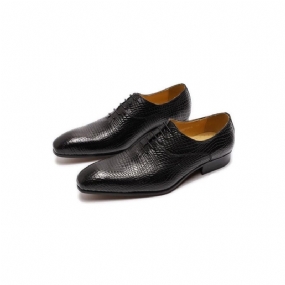 Pánska Spoločenská Obuv Exotic Pointed Toe Oxford Topánky