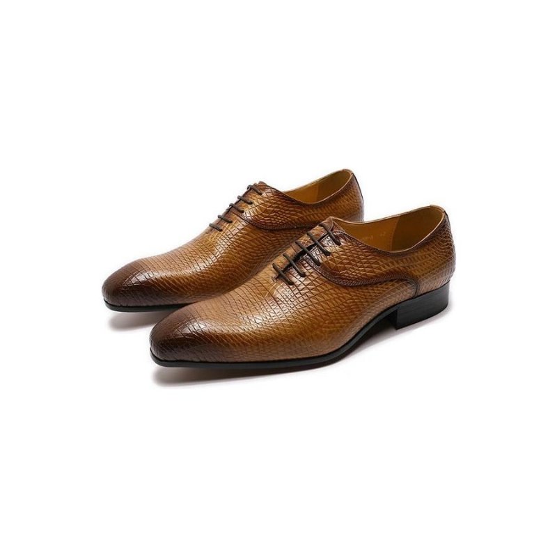 Pánska Spoločenská Obuv Exotic Pointed Toe Oxford Topánky - Káva