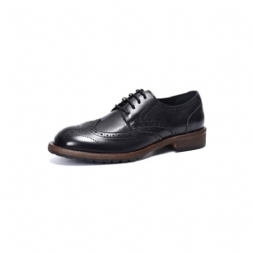 Pánska Spoločenská Obuv Exquisite Brogues