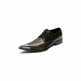 Pánska Spoločenská Obuv Exquisite Crocodile Leather Pointed Toe Oxfords