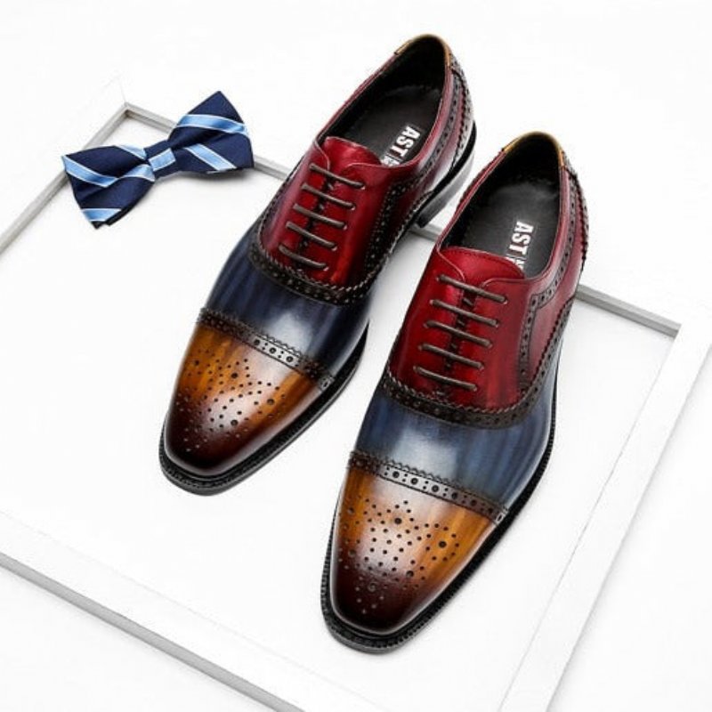 Pánska Spoločenská Obuv Wingtip Leather Lace-up Oxfords - Exotická