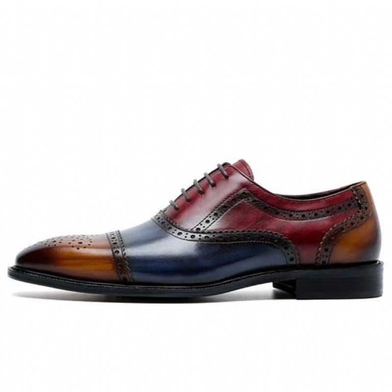 Pánska Spoločenská Obuv Wingtip Leather Lace-up Oxfords - Exotická