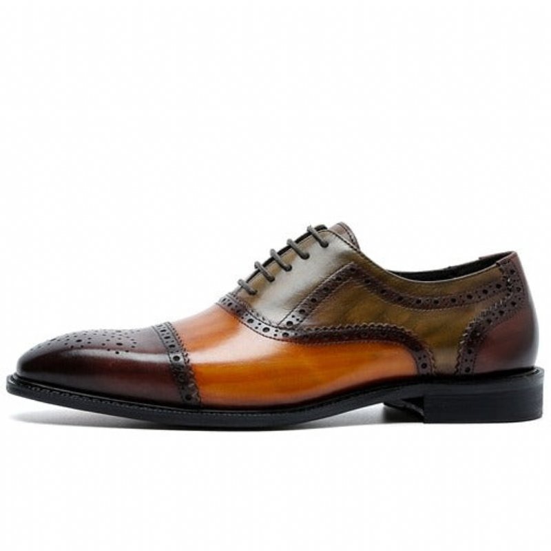 Pánska Spoločenská Obuv Wingtip Leather Lace-up Oxfords - Káva