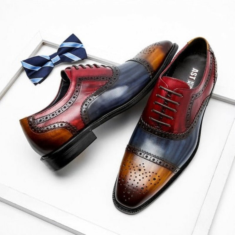 Pánska Spoločenská Obuv Wingtip Leather Lace-up Oxfords - Exotická