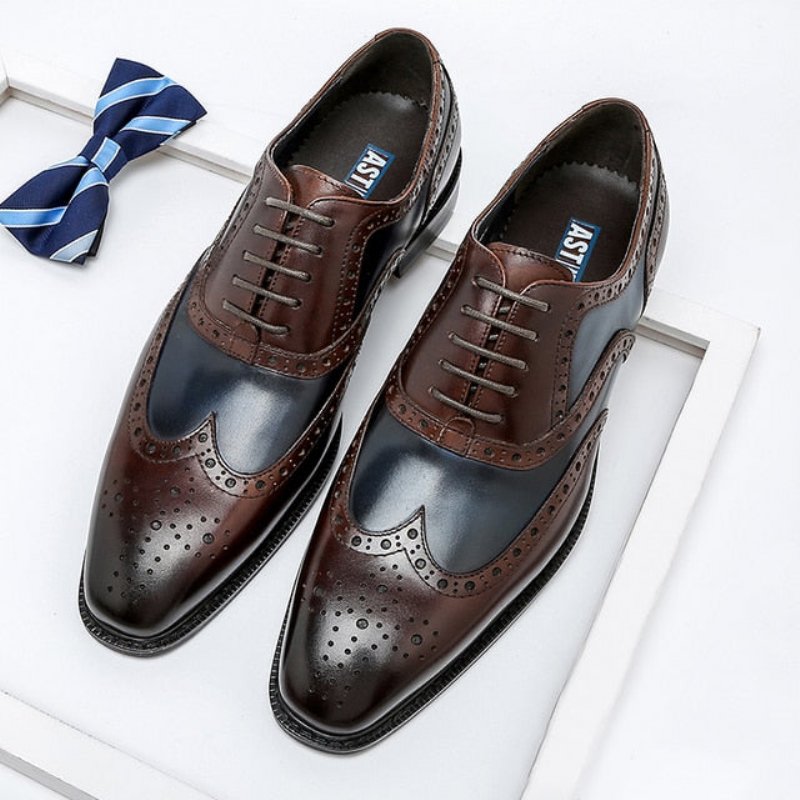 Pánska Spoločenská Obuv Wingtip Leather Lace-up Oxfords - Modrá