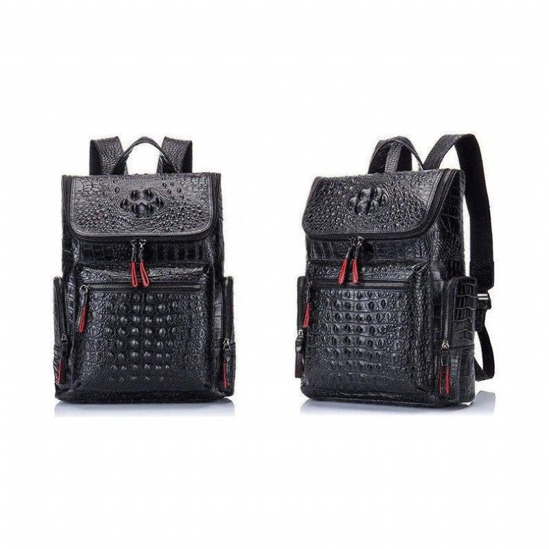 Pánske Batohy Exotic Zipper Softback Flap Backpack - Čierna