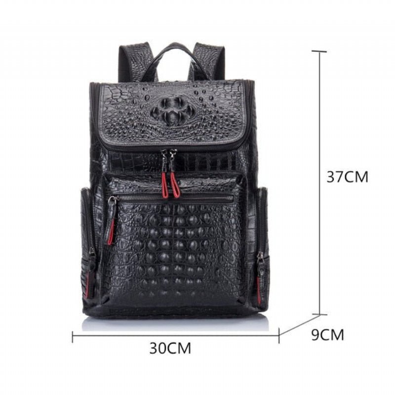 Pánske Batohy Exotic Zipper Softback Flap Backpack - Čierna