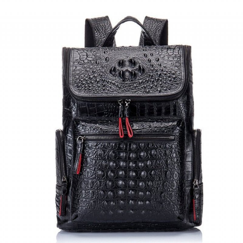 Pánske Batohy Exotic Zipper Softback Flap Backpack - Čierna