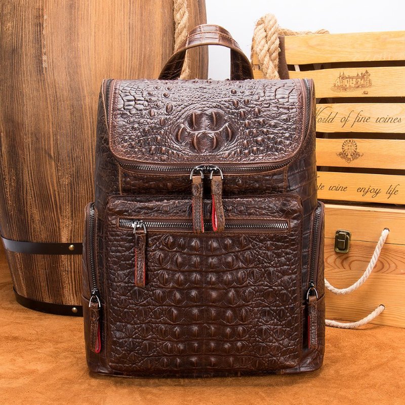 Pánske Batohy Exotic Zipper Softback Flap Backpack - Káva