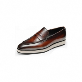 Pánske Mokasíny Exotic Pointed Toe Slip-on Brogues