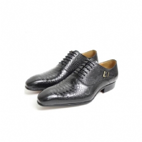 Pánske Spoločenské Topánky Exotic Serpent Pointed Toe Oxford