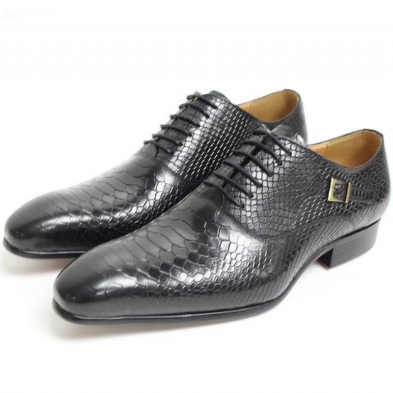 Pánske Spoločenské Topánky Exotic Serpent Pointed Toe Oxford - Čierna