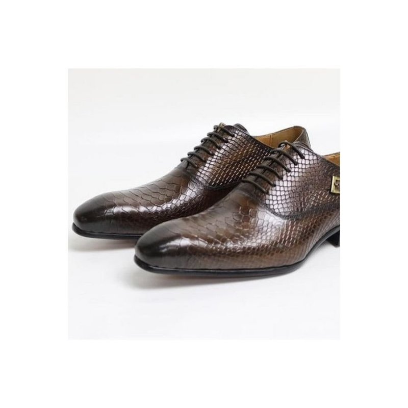 Pánske Spoločenské Topánky Exotic Serpent Pointed Toe Oxford - Káva