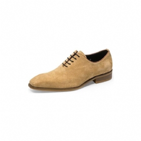 Pánske Spoločenské Topánky Suede Elegance Oxford